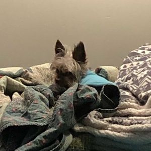 Meet your Posher, Ashlee